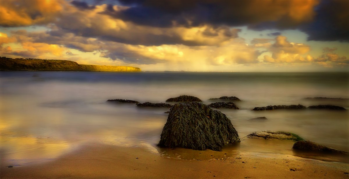 Where I love to walk. @Pexels #WhitleyBay #Northumberland #Newcastle