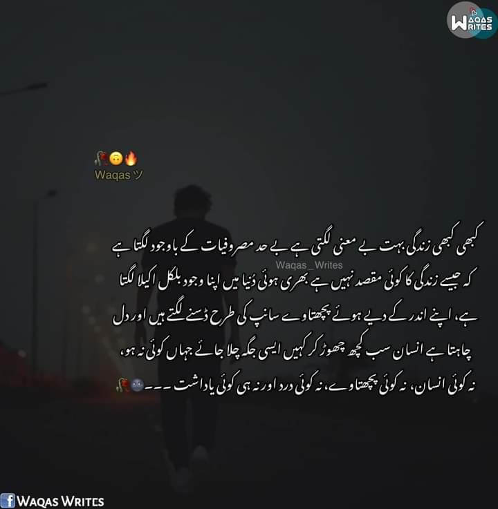 Asslamu o Alaikum 🌉

Good Night  ✨

Stay Blessed Have Sweet Dreams 💫