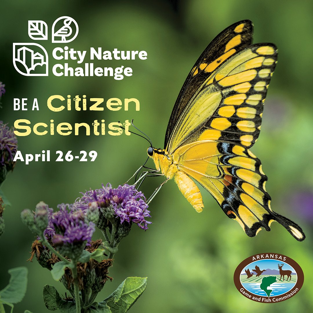 🐿️ Get outside between April 26-29 and document any wildlife you see. City Nature Challenge is a friendly competition between urban areas all around the world to see who can make the most nature observations. 👀 how to get involved: bit.ly/441EEbc