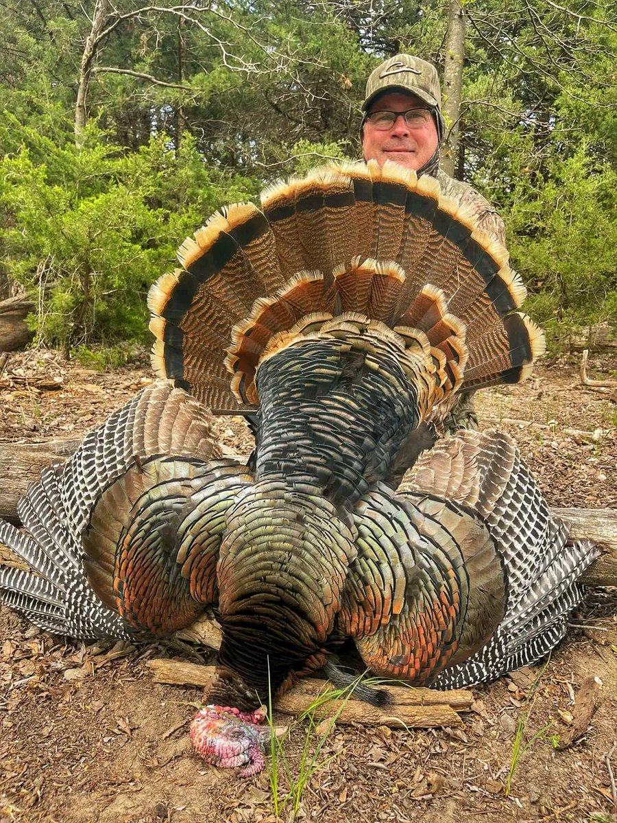 Mr Jerry drove 14 hours to camp changed clothes… drove another 45 minutes to the farm… and rolled this fine Kansas rio up about 15 minutes after getting out of the truck!
Congratulations see you next year!
#mistymorningoutfitters #mmo #ionlyrunwithkillers #itswhatwedo