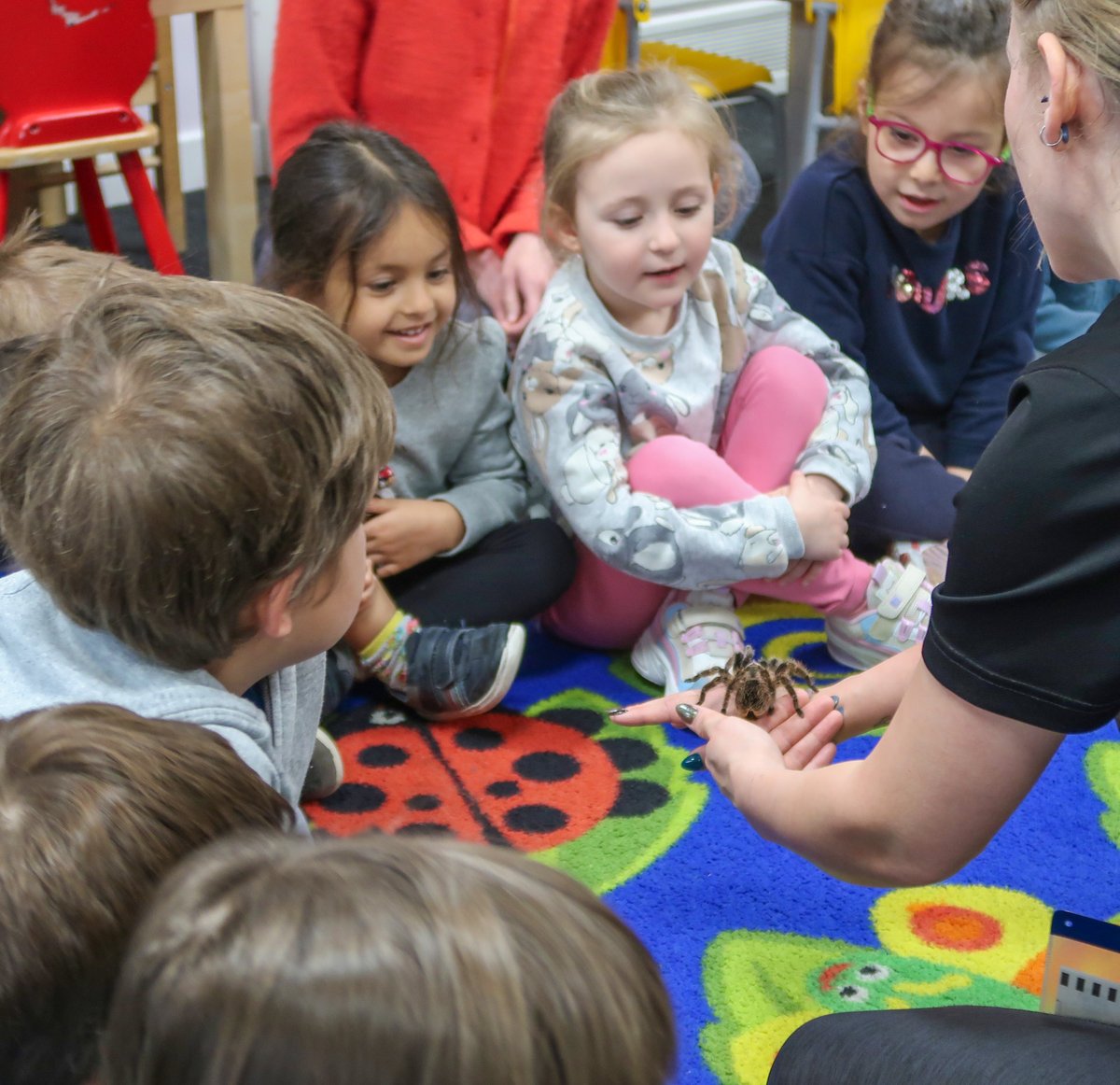 NewtonPrepSch's tweet photo. πΏ#NewtonNursery welcomed #RainforestZoolab with excitement as they experienced natureβs most extraordinary residents. π± Some of their new buddies include Mr. Jangles the snake, Cinnamon the tarantula and Cheese the millipede. π·οΈ π
#NewtonLearning #NewtonCuriosity #Rainforest https://t.co/cwTNUzuDEF