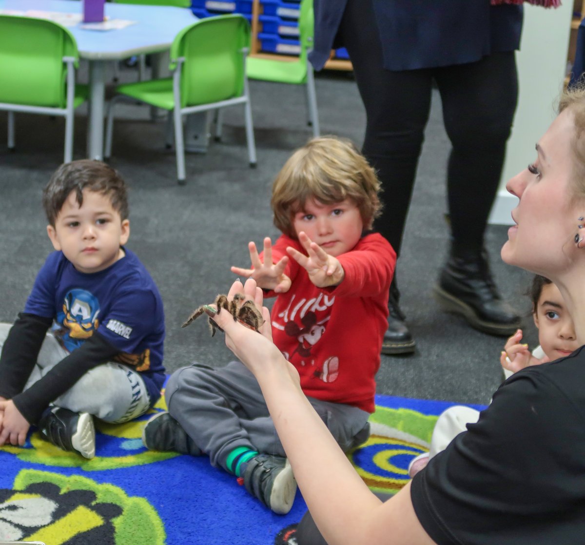 NewtonPrepSch's tweet photo. πΏ#NewtonNursery welcomed #RainforestZoolab with excitement as they experienced natureβs most extraordinary residents. π± Some of their new buddies include Mr. Jangles the snake, Cinnamon the tarantula and Cheese the millipede. π·οΈ π
#NewtonLearning #NewtonCuriosity #Rainforest https://t.co/cwTNUzuDEF