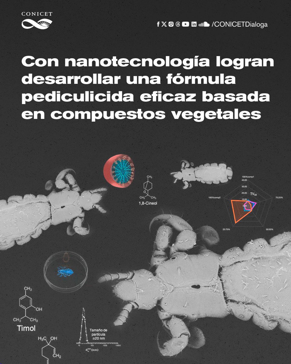 🟢Especialistas del CONICET desarrollaron con nanotecnología una fórmula pediculicida basada en compuestos vegetales. La formulación mostró en estudios in vitro una efectividad 35% mayor respecto a un producto comercial. ✍️Nota bit.ly/pediculicida #CienciaArgentina