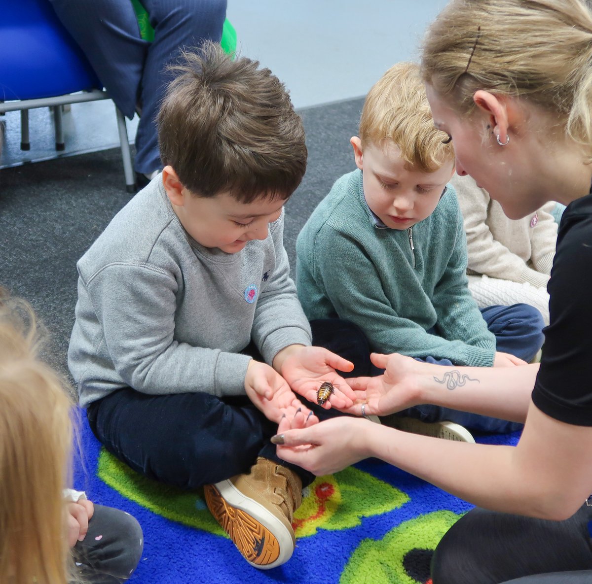 NewtonPrepSch's tweet photo. πΏ#NewtonNursery welcomed #RainforestZoolab with excitement as they experienced natureβs most extraordinary residents. π± Some of their new buddies include Mr. Jangles the snake, Cinnamon the tarantula and Cheese the millipede. π·οΈ π
#NewtonLearning #NewtonCuriosity #Rainforest https://t.co/cwTNUzuDEF