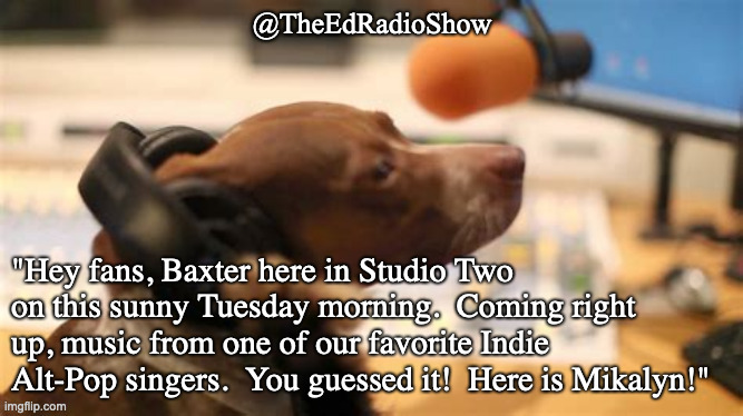 #radio #dogs #Indie #AltPop #piano 
1 of 3

Baxter is in and cues up@MikalynFans !