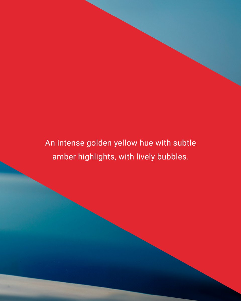 Tasting Notes - Mumm Ice Xtra: To The Eye

An intense golden yellow hue with subtle amber highlights, and lively bubbles.

#Mumm #ChampagneLovers #MummIceXtra #ToTheEye

PLEASE DRINK RESPONSIBLY

Please only share our posts with those who are of legal drinking age.