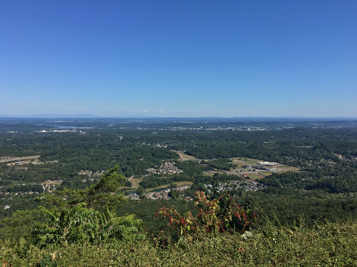 Sam Blevins tweet media