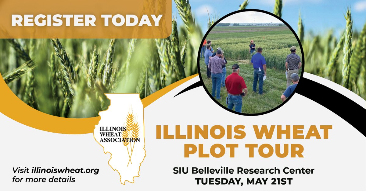 IllinoisWheat's tweet photo. Register for the May 21st IWA Plot Tour here! https://t.co/dLF0m2sAvG https://t.co/mcn8E9y3dD