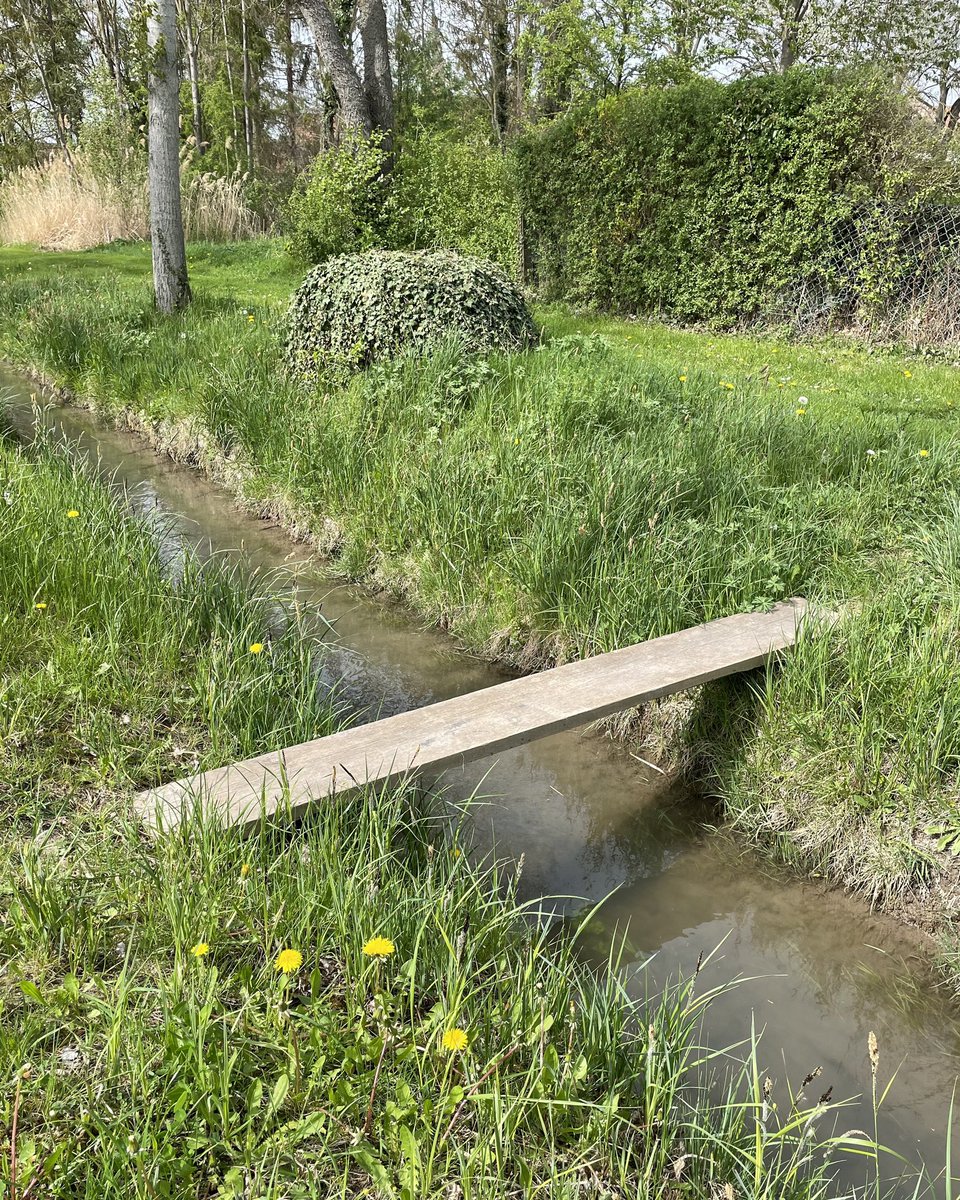 BRIDGE Matthias Braun 2024 digital photo
 
#matthiasbraun #contemporaryart #minimalart #contemporaryartist #bridge #creek #artepovera #wood #water #conceptualart #spontaneousart #meadow #thickboard #arte #exhibition #artobject #gallery #artcollection #photo #photography #povera