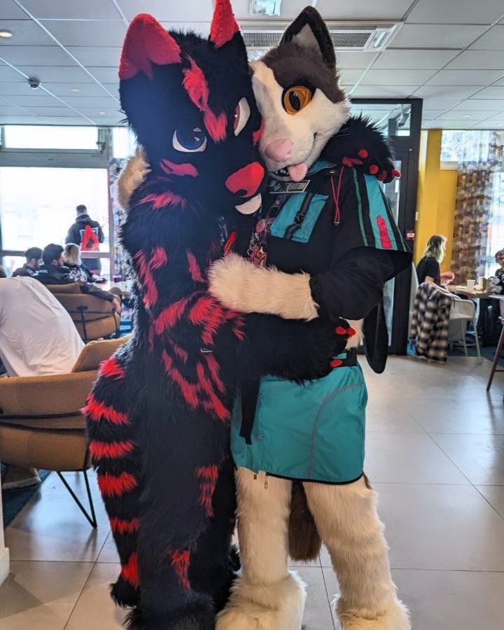 ZorakKarter's tweet photo. At the Fauntastic, I met a very cute and adorable cat. 🥰

A la Fauntastic, j'ai rencontré un chat très mignon et adorable. 🥰

🐱 : @FurryMitsuky
📸 : @WyndMango

#furry #fur #furryfandom #fursuit #fursuiting #fursuiter #zorakkarter #fursuits #furrycommunity #FursuitFriday https://t.co/xFZs8mrN1a