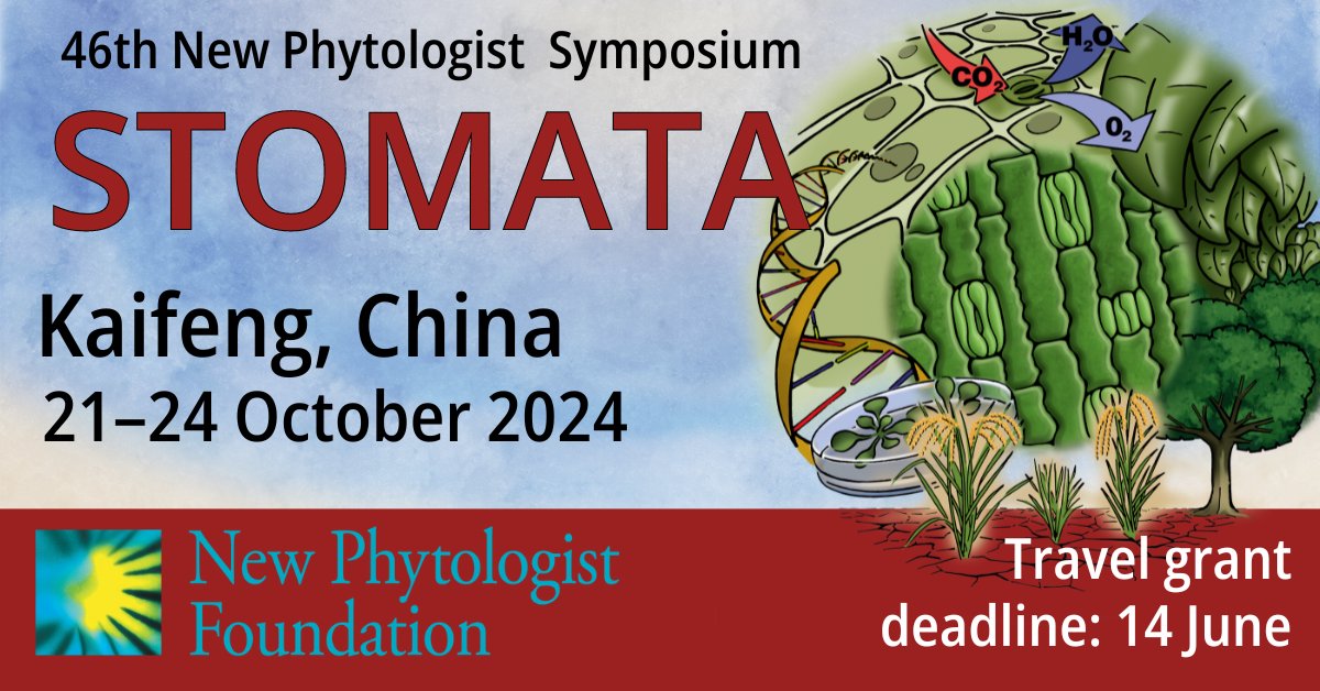 Register for the 46th New Phytologist Symposium: #Stomata! #46NPS 21–24 October 2024 | Kaifeng, China Travel grant and oral abstract deadline: 14 June Poster abstract deadline: 22 July 👉 ow.ly/BQUR50Rmm8p @wileyplantsci
