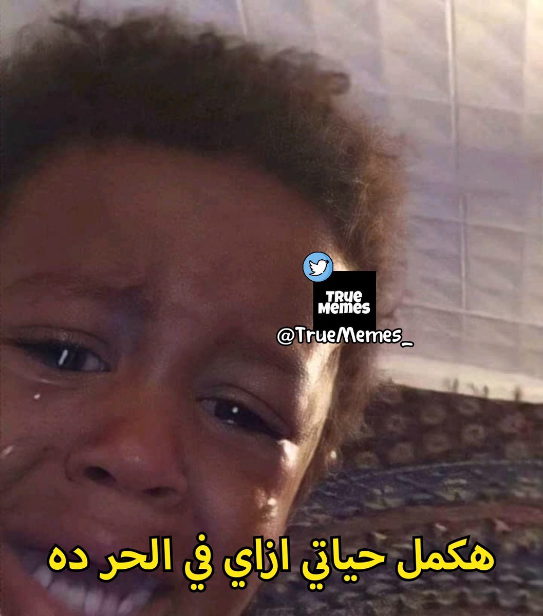 True Memes (@truememes_) on Twitter photo 