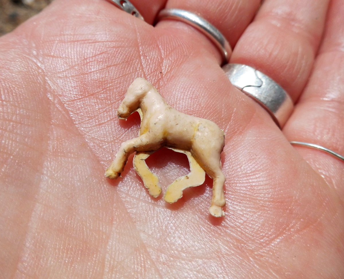 From the Archives: A Sea Horse!!!! #beachfinds #cullercoats #plastic #horse #curiosities #oceanplastic #treasure