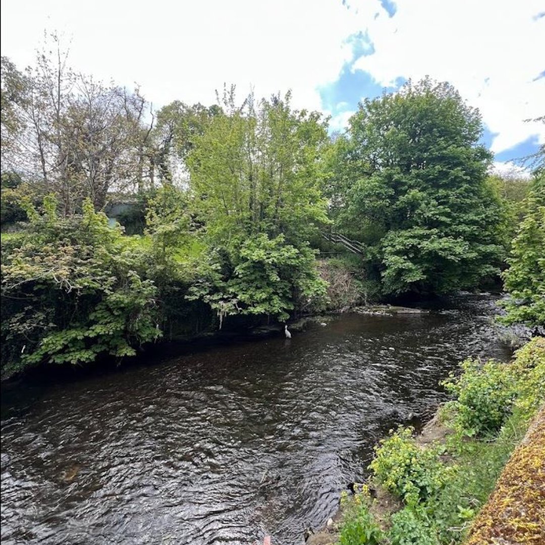 What a lovely day for a a canal clean-up☀️ UrbanVolt's CSR Committee and @StrongRootsIRL teamed up for a canal clean-up along the beautiful Dodder river this afternoon. Together, we're taking steps to work towards a cleaner, greener future. 🌱💧 #CSR #Sustainability