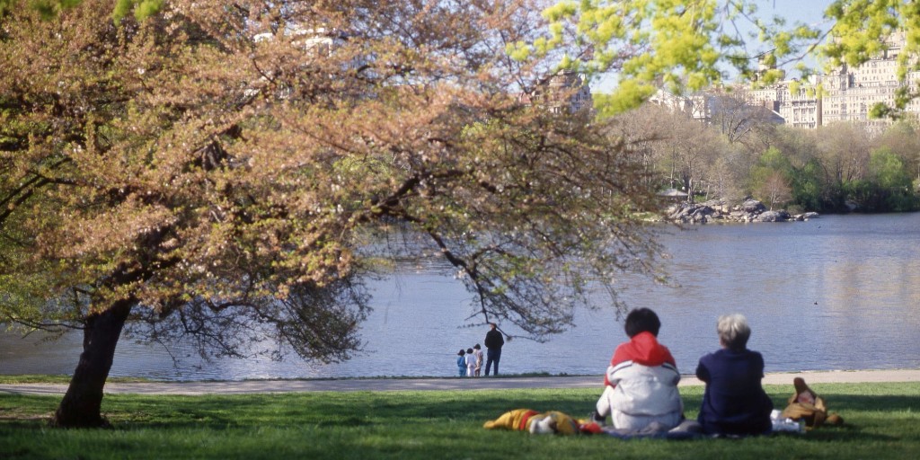Planning the perfect picnic? 🥪 We’ve got a spot in Central Park just for you! Actually, we have countless great picnic spots across our 843 acres. 🌞 Find the best places to picnic in our guide. Happy snacking! bit.ly/4bbynfz