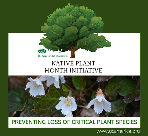 Nearly 1 million plant and animal species are now threatened with extinction. Thanks to the GCA, its member clubs, and collaborating organizations, April is officially Native Plant Month 2024 in many states across the country
#nativeplantmonth
#ecosystems
#wildflowers