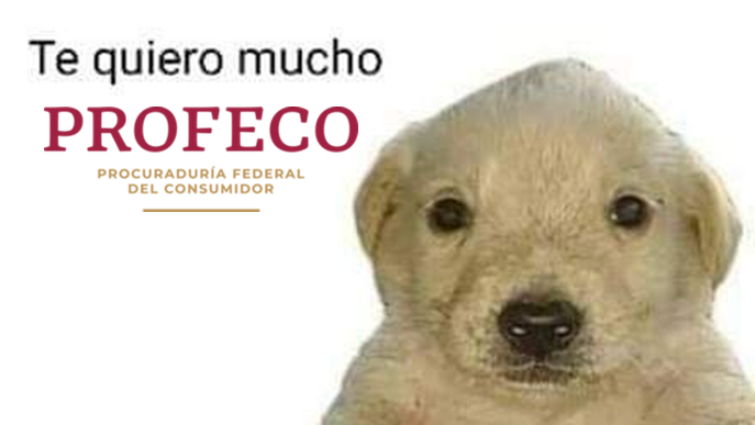elperezuelo's tweet photo. Primero nos abren los ojos respecto al fraude que es todo el pan de caja en México.

Luego, derrotan a Cartier y le dan la razón al cliente.

la @Profeco está con todísimo, verdaderamente. https://t.co/DU4mCKcpmz