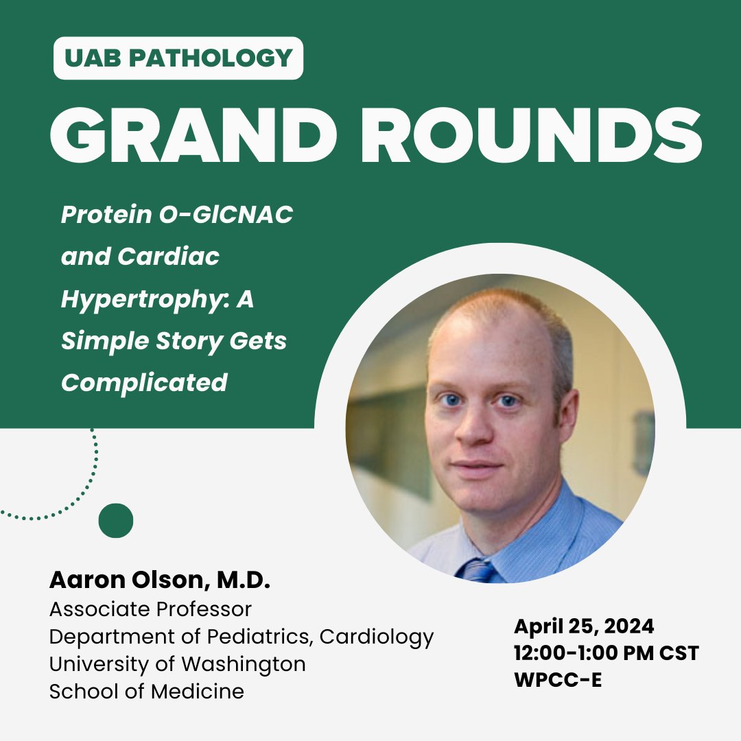 Join us this Thursday @ 12 in WPCC-E for @UABPathology Grand Rounds ft. Aaron Olson, M.D., Associate Professor, Pediatrics, Cardiology, @UWMedicine, for, 'Protein O-GICNAC and Cardiac Hypertrophy: A Simple Story Gets Complicated.' Register: bit.ly/49JuDAE