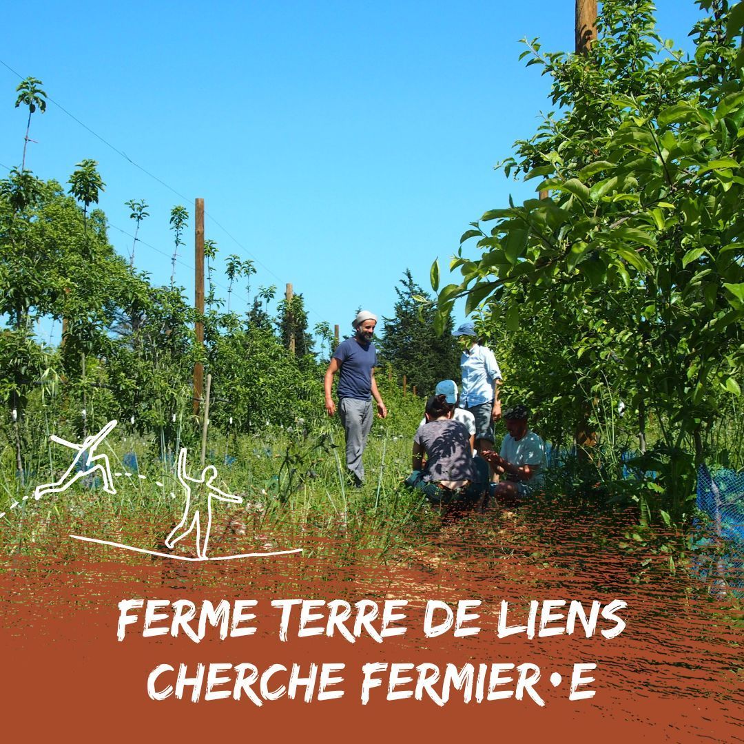 #PetitesAnnonces : Ferme Terre de Liens dans l'#Aude en arboriculture cherche fermier·e 🌳

Tous les détails par ici 👉 buff.ly/3vTyRIf