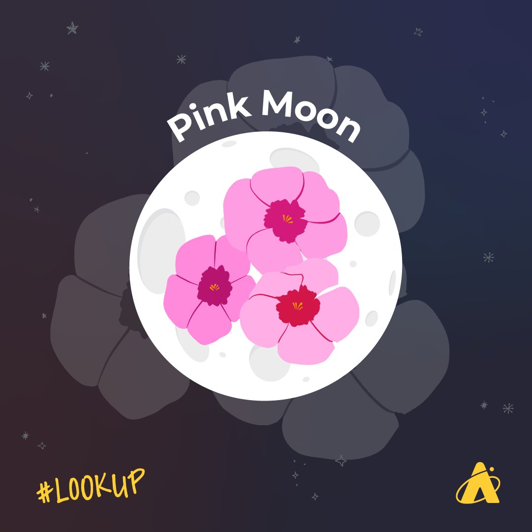 Trends take awhile to get to space, so the Moon is finally having her Barbiecore moment. 💅 The full #PinkMoon rises tonight, 4/23, and is named after the pink moss phlox that bloom in April. Important: the Moon will not actually appear pink, it’s more about the ✨vibes✨.