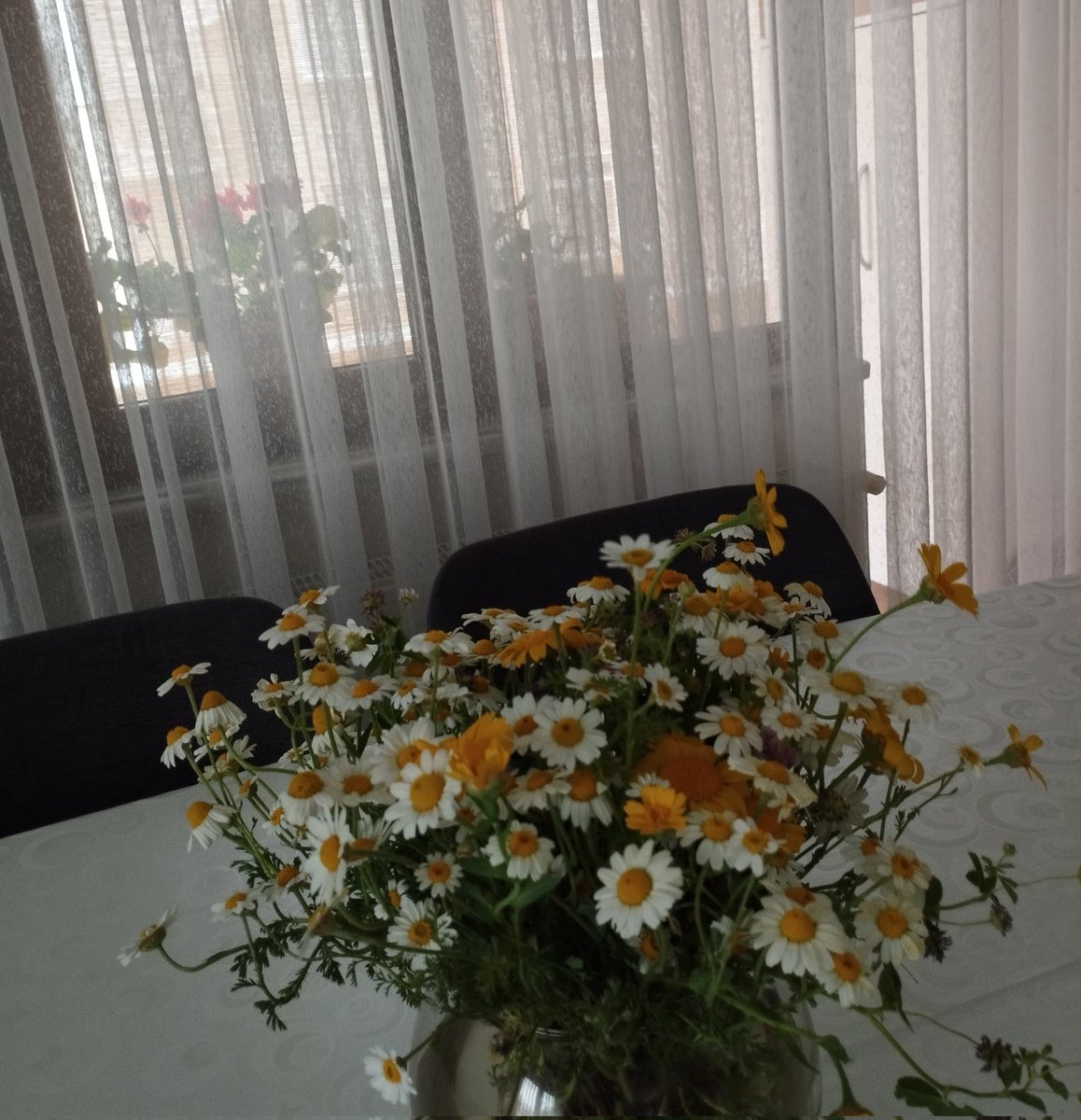 mrymmhnne's tweet photo. Akşamüstü sessizliği.
Hamdolsun.
#an #vird
🌼 🌿 📸 https://t.co/7CcLMm3DMv