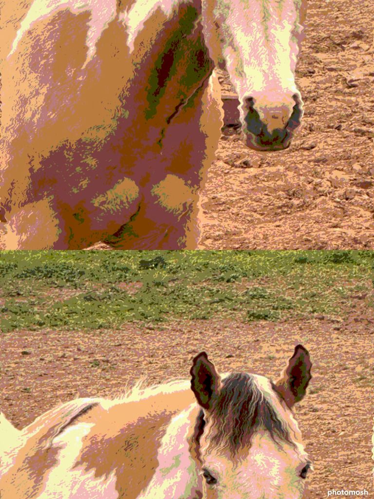 Teaser Tuesday - Here's an easy one!

#SES #SilverEagleStable #TT #TeaserTuesday #LessonPony #Horses #BarnLife #BrainExercises