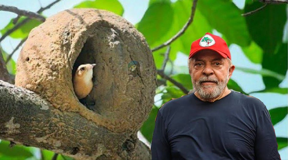 misteriouspavao's tweet photo. João de Barro vai à polícia fazer uma  denúncia contra um invasor do MST. https://t.co/n5H5Q4ypUV