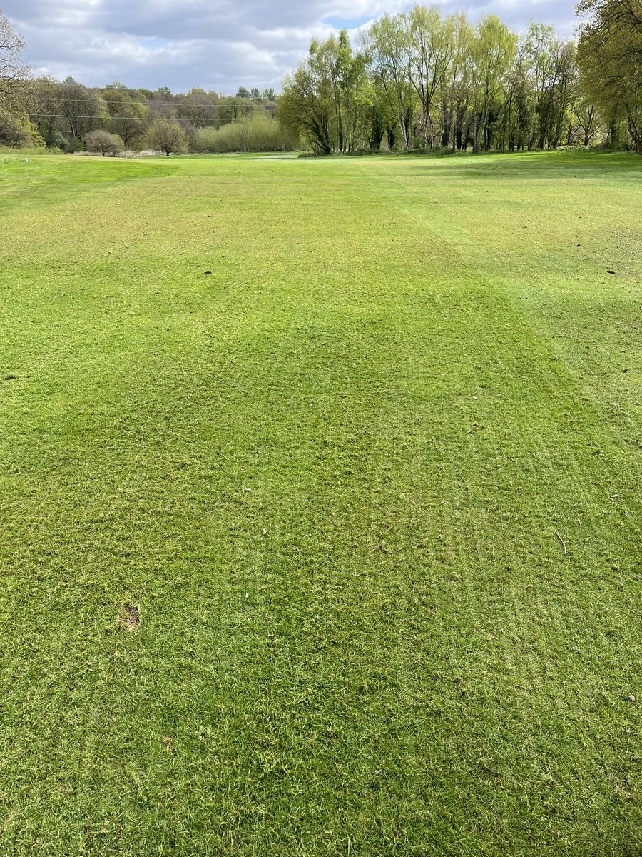 azzabazza86's tweet photo. Giving the fairways a light rake and blow after a tough winter @ReddishValeGC @RVGCgreens once finished the members will be out to help divot the site 👌🏻 https://t.co/Ve1OouE0Zs