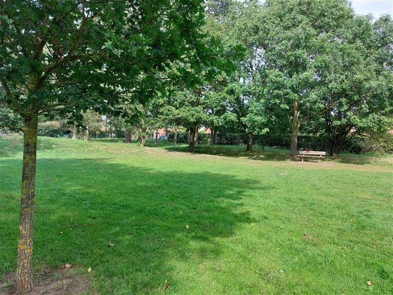 NorwichCC's tweet photo. We're starting work this week in Eaton Park to prepare the new home for the Homage to Thomas Browne sculptures, which are being relocated from Hay Hill.

You'll see fencing being put up as we get the site ready near the play area.

Stay tuned for more updates!

@eatonparkfriend https://t.co/zovi4P8OZv