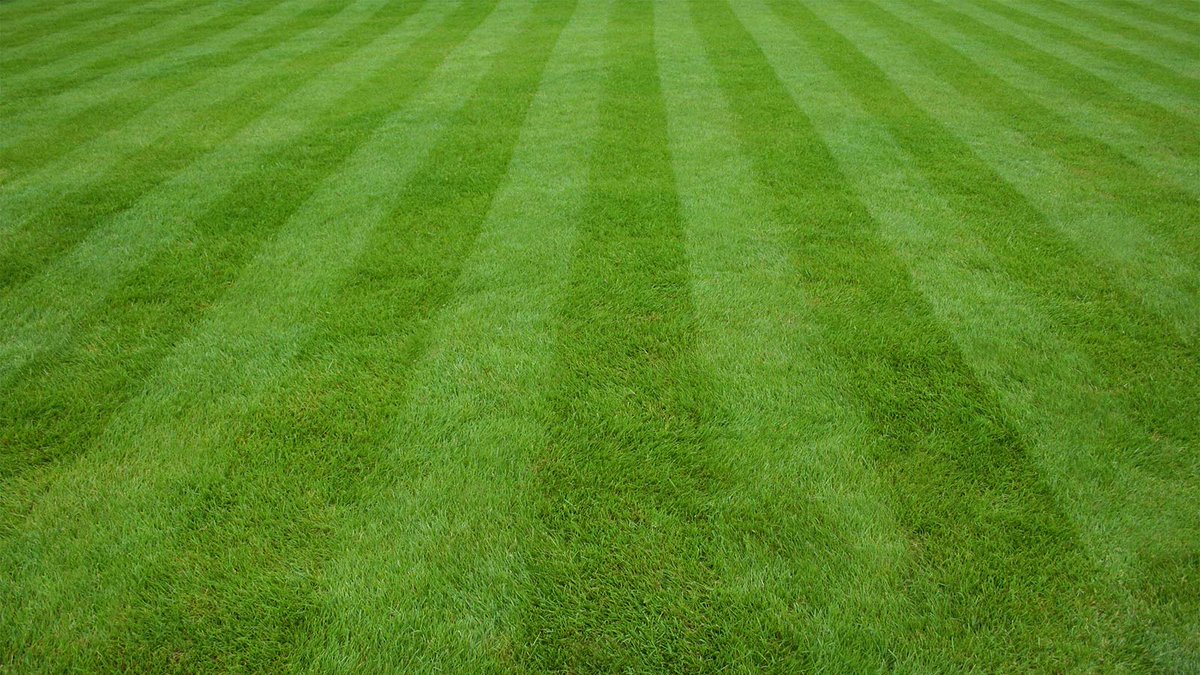Preparing Your Lawns for Spring

A well-maintained lawn in enhancing the aesthetic appeal and value of any property. Here are some essential tips to prepare your lawns for the vibrant months ahead: ow.ly/NhOh50RkSwj

#PropertyManagement #BlockManagement #FacilityServices