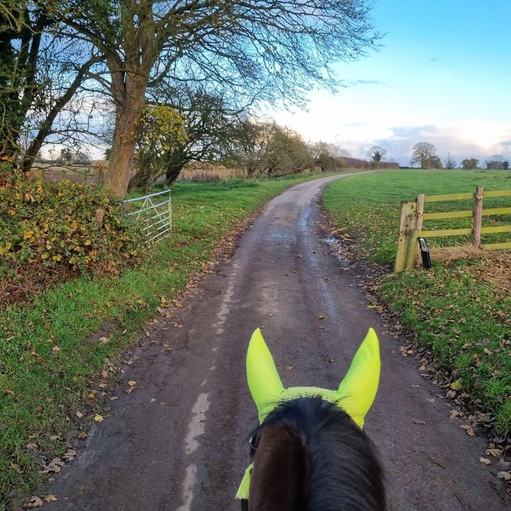 You get over 25km of beautiful off-road riding exclusively for you & your equine best friend .... if you keep your horse on #RevesbyEstate 🐴✨
✉️ reception@revesbyestate.co.uk  ☎️ 01507 568395.
 🌳🐎 #Liveries #Horses #Stabling #DIYLivery bit.ly/3v6HdIN