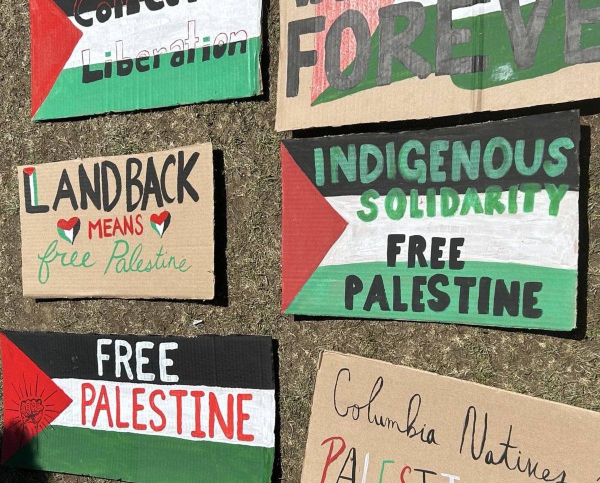 ' LANDBACK           INDIGENOUS
🇵🇸 MEANS 🇵🇸            SOLIDARITY
free Palestine               FREE
                                        PALESTINE'