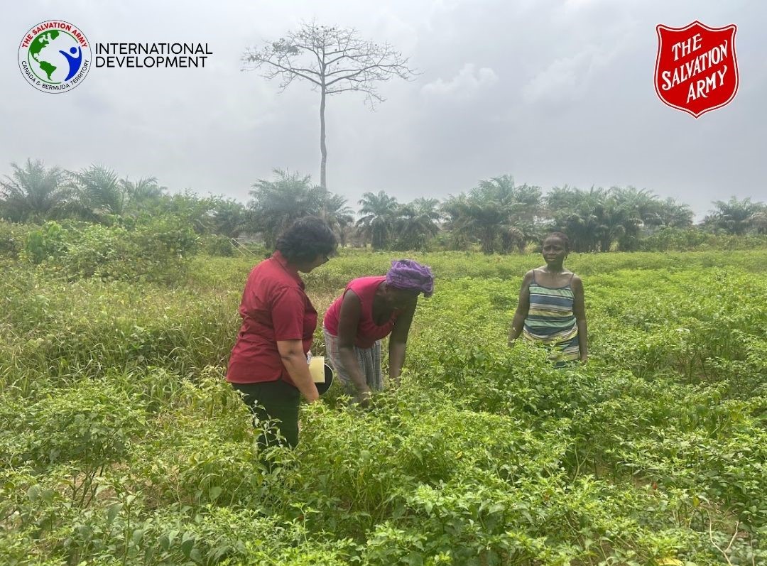 United Nations' Sustainable Development Goal number one seeks to end poverty worldwide. Through agriculture programs, The Salvation Army helps people in Liberia farm their land productively, produce crops, and ensure their families' food security.