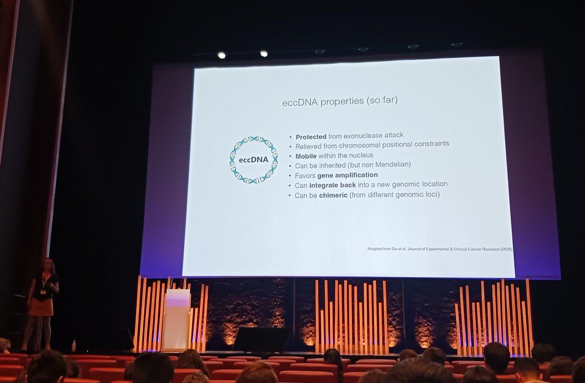 Emilie Aubin (@milie_aubin) on Twitter photo Nice talk of Marie Mirouze about eccDNA of TEs with <a href="/MANGOLAB1/">MANGO LAB</a> @sophie_lanciano <a href="/panpan_ird/">Panpan Zhang</a> <a href="/AbiramiSoundir1/">Abirami Soundiramourtty</a>
#ICTE2024 Nice talk of Marie Mirouze about eccDNA of TEs with <a href="/MANGOLAB1/">MANGO LAB</a> @sophie_lanciano <a href="/panpan_ird/">Panpan Zhang</a> <a href="/AbiramiSoundir1/">Abirami Soundiramourtty</a>
#ICTE2024
