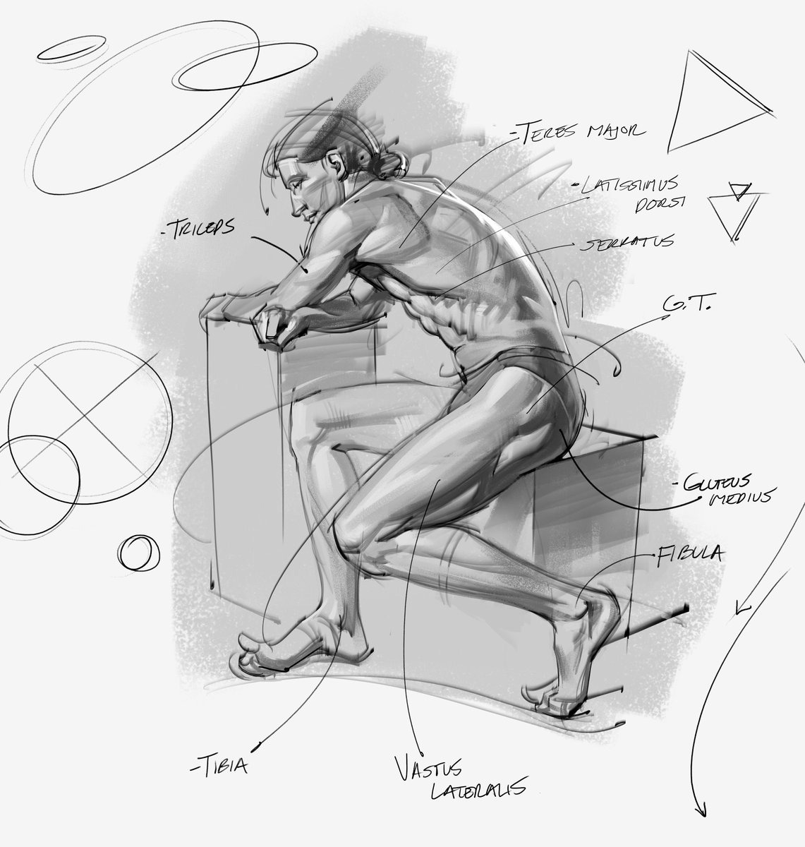 Morning 1 hr figure drawing of the male figure. Analyzing the anatomy of the back! #figuredrawing #gesturedrawing #lineart #shading #doodles #illustration #animation #art #rendering #muscles #humananatomy #anatomy #gottogetbetter #goals #lats #arms #legs