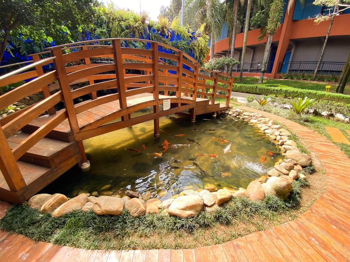 Encontre sua tranquilidade nesse refúgio: O Lago das Carpas. Um convite à contemplação e relaxamento 🐟🐠🍃🌿

Venha experimentar essa atmosfera de paz! ✨

Círculo, lugar de ser feliz! 💙