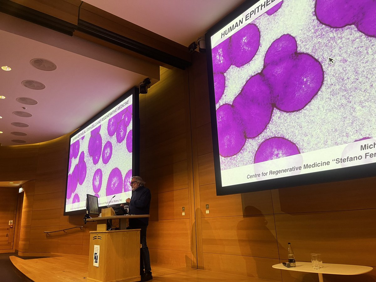 And last but not least, it is a great privilege to welcome Prof Michele De Luca for our Keynote Lecture to close out the day ✨📣

Thank you all so much for joining us for what was a truly excellent day of stem cell science.

Until next time!

#LSCN2024