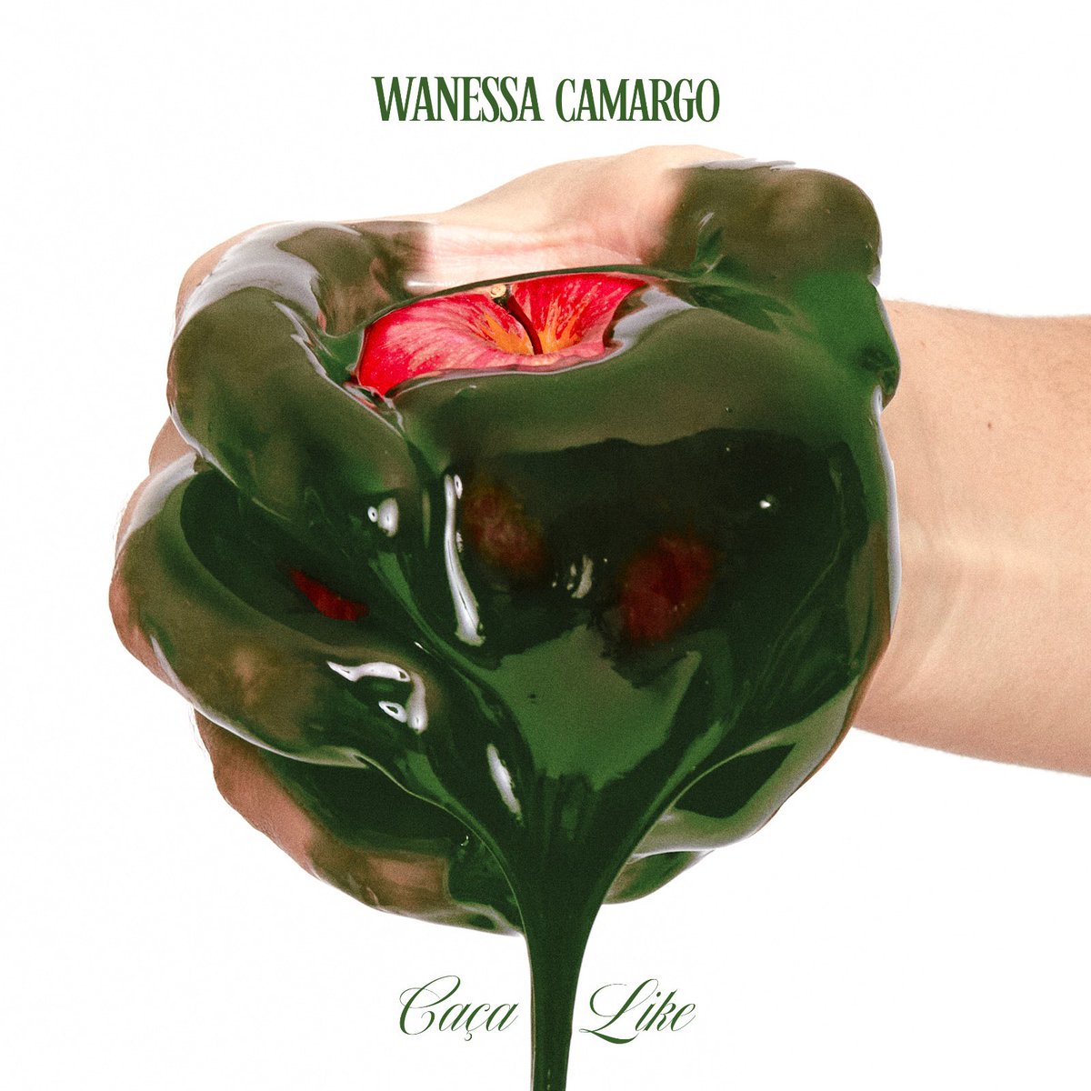#Música: Wanessa Camargo lança música sobre cultura digital e cancelamento

acessocultural.com.br/2024/04/waness…