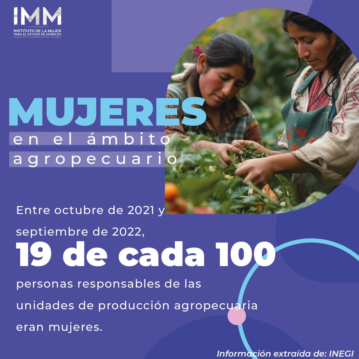 👉Entre octubre de 2021 y septiembre de 2022, 19 de cada 100 personas responsables de las unidades de producción agropecuaria eran mujeres en México. Cerca de una quinta parte carecía de estudios. #mujeresenelcampo Fuente: INEGI. Censo Agropecuario 2022.