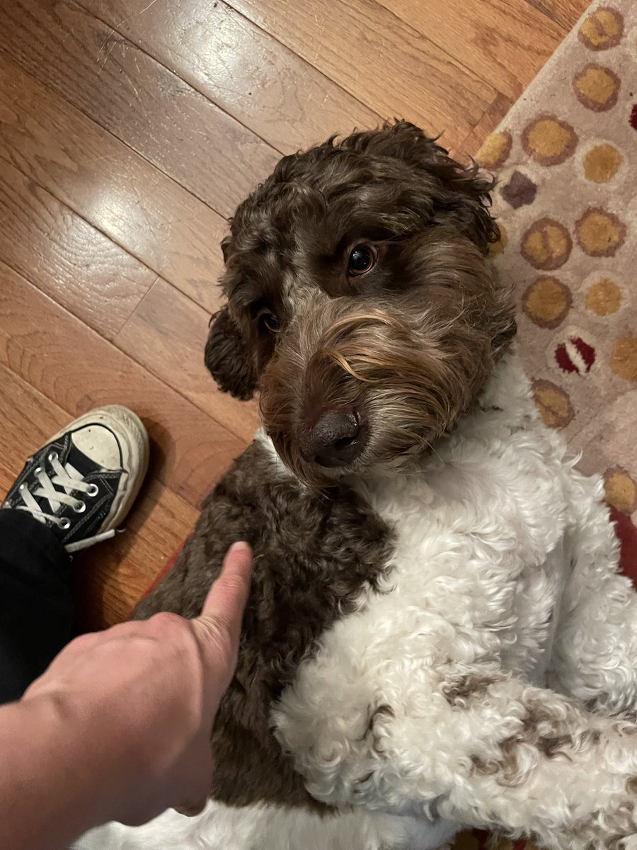 minishsoup's tweet image. #inline at panda express