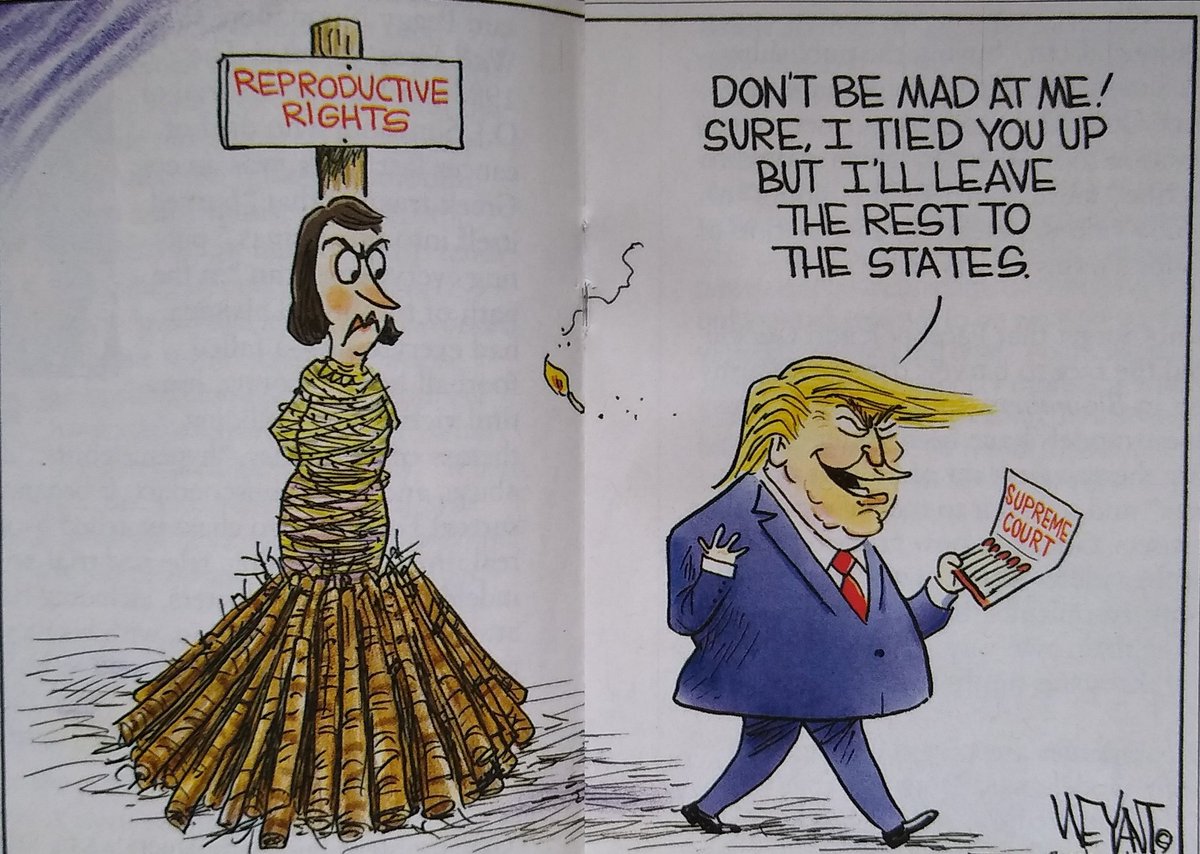 Women's reproductive rights are being burned at the stake, but don't think for a moment the assault stops there. There's more coming, so wake up and vote out Republicans. They want to crush your rights beneath their heels and will, if they remain/gain office.