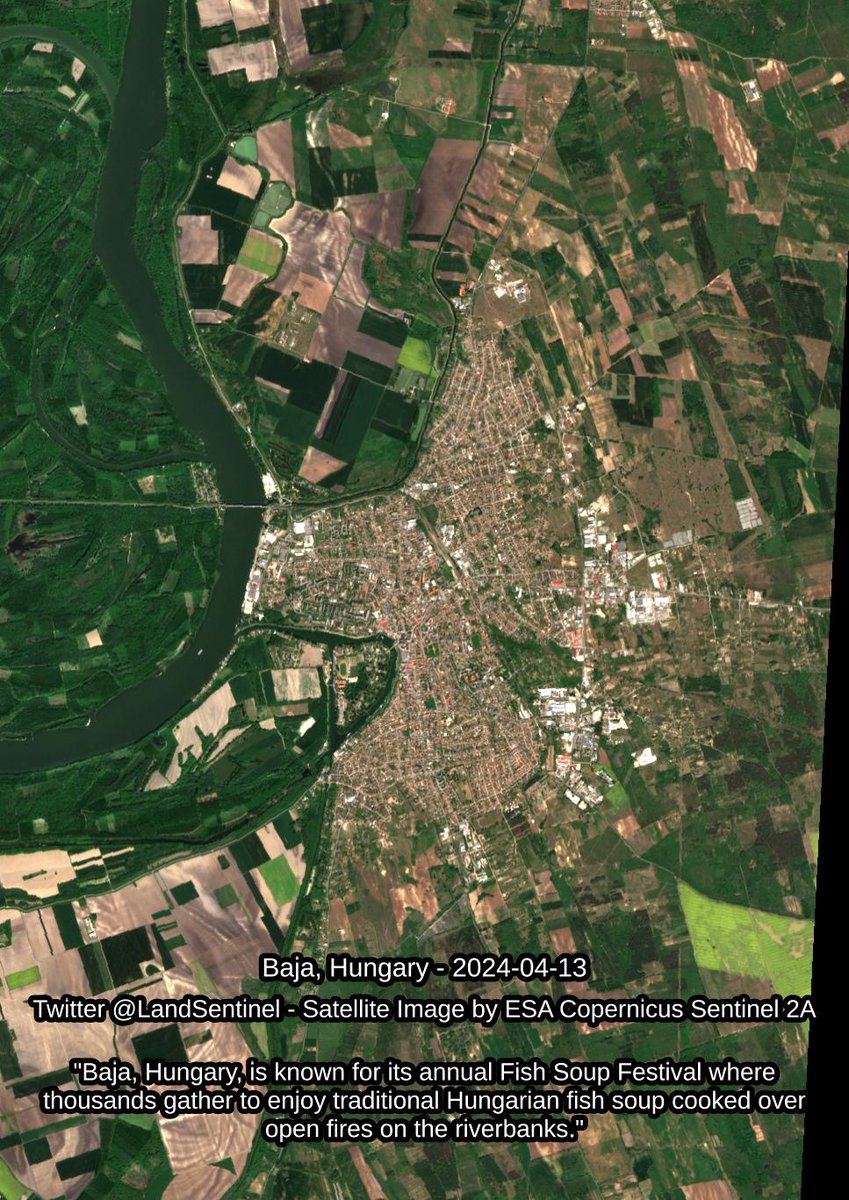Baja - Hungary - 2024-04-13 'Baja, Hungary, is known for its annual Fish Soup Festival where thousands gather to enjoy traditional Hungarian fish soup cooked over open fires on the riverbanks.' #SatelliteImagery #Copernicus #Sentinel2