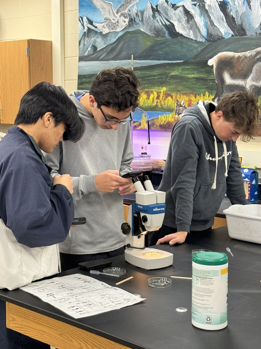 Finding macroinvertebrates in the @BCHS_SDE pond! #discovery #pondalgae