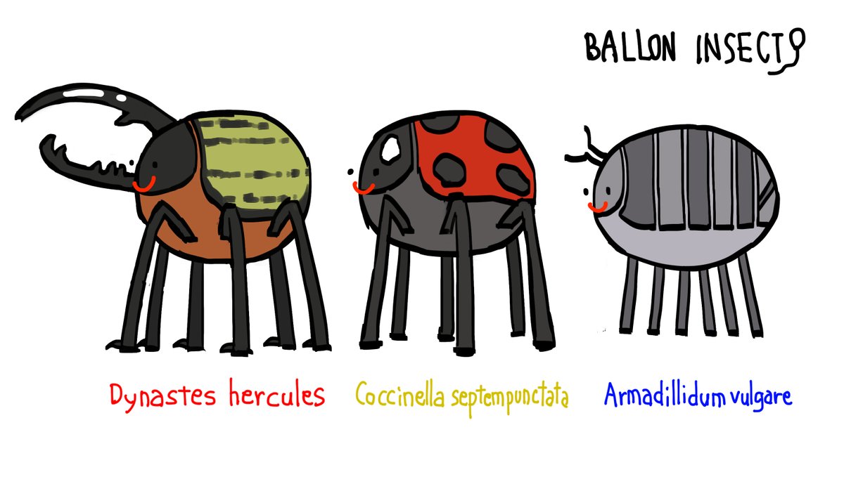 コンセプトデザイン案 'BALLON INSECT'