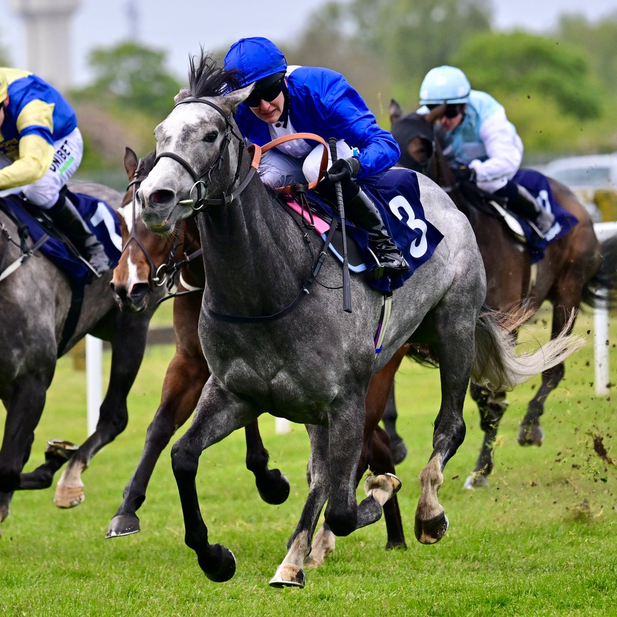 Great Yarmouth Races tweet media