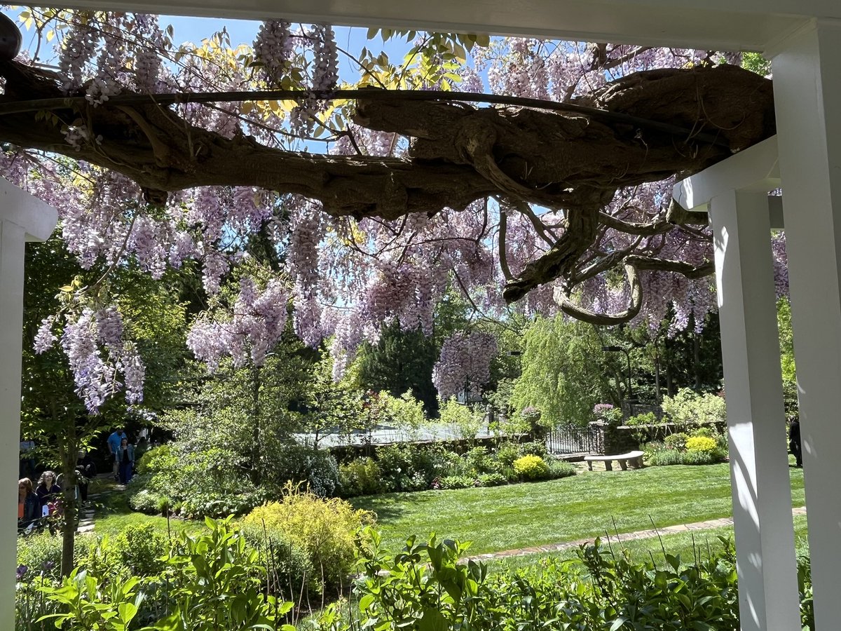 WDCGardener's tweet photo. A beautiful morning to gardens in the #vagardenweek tours - this one is Ballantrae in McLean, Va, hosted by the Garden Club of Fairfax. #gardendc #dmv #vagardentour @historicgardenweek https://t.co/uGKck7AAwT