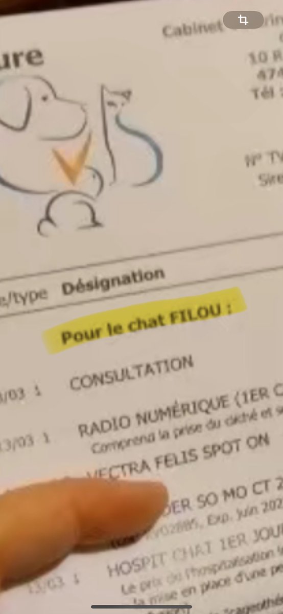 kizamitheegirl's tweet photo. ÇA ME DÉBECTE Les comptes de merde sur tiktok qui essaye de ce faire de l’argent sur la pitier des gens, mais au final sont beaucoup trop con : https://t.co/J3idT94jUe