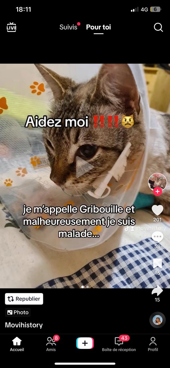 kizamitheegirl's tweet photo. ÇA ME DÉBECTE Les comptes de merde sur tiktok qui essaye de ce faire de l’argent sur la pitier des gens, mais au final sont beaucoup trop con : https://t.co/J3idT94jUe