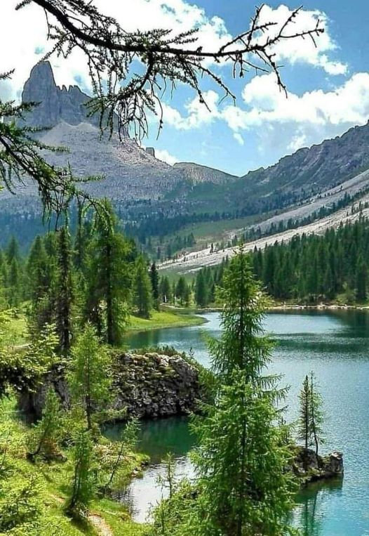 The Most Beautiful View of Grinnel Lake,

Montana, United States of America 🌎

#usanewstoday #unitedstatesofamerica #usa #USNews #unitedstate #Americans #america #usatravel #usanews #AmericanDream #usa #Montana #montanalife #grinnellake #NatureBeauty