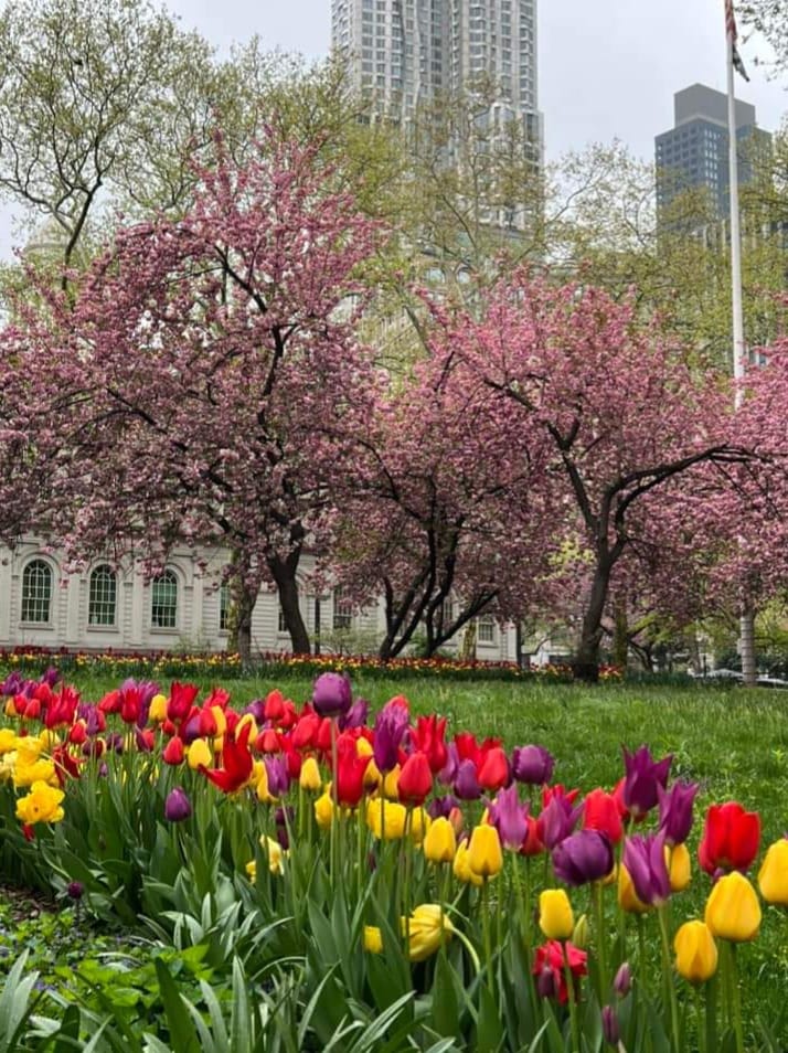 The Most Beautiful View of City Hall 🌸🌷

New York City, United States of America 🌎

#unitedstatesofamerica #USNews #NewYork #unitedstate #newyorkcity #UnitedStates #usa #USAToday #newyorklife #cityhall #america